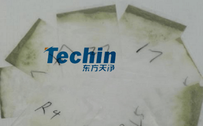 干黄豆根茎午夜国产福利后