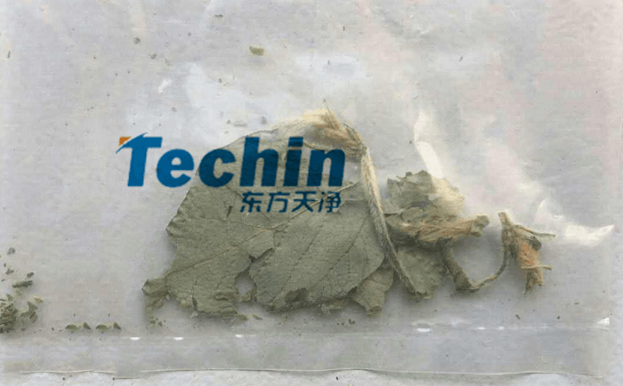 干黄豆叶午夜国产福利前
