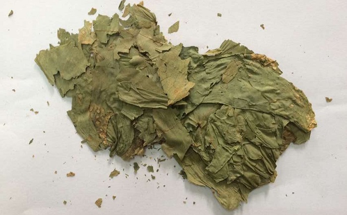 棉花叶午夜国产福利